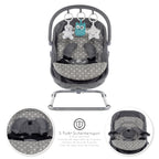 VIGO - Espreguiçadeira & Berço com Cobertura e Arco de Brincar Removivél