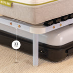 IF02 – Estrado ortopédico multilâminas com estrutura metálica reforçada – com ou sem pés